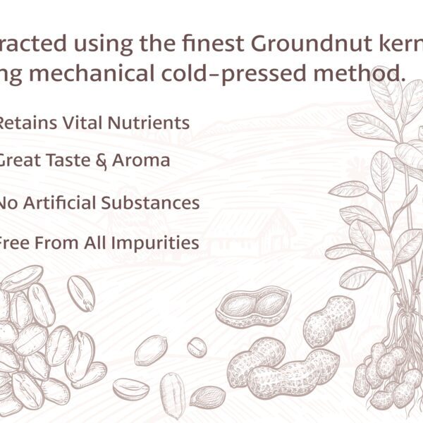 BD Edible Oils Groundnut Oil 15 KG Tin Product Image 3