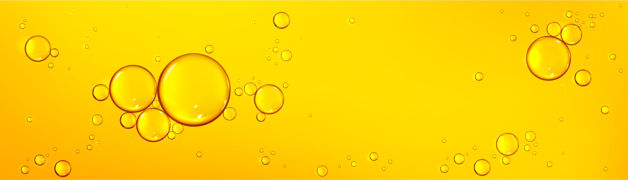 BD Edible Oils Homepage Website Banner Images 18