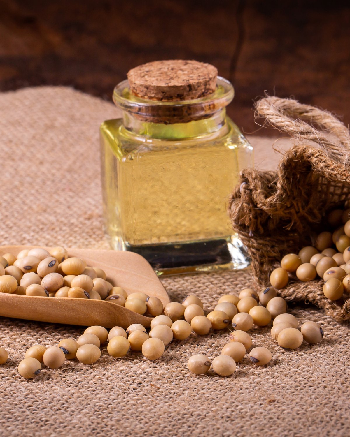 BD Edible Oils Soybean Oil Page Image 1