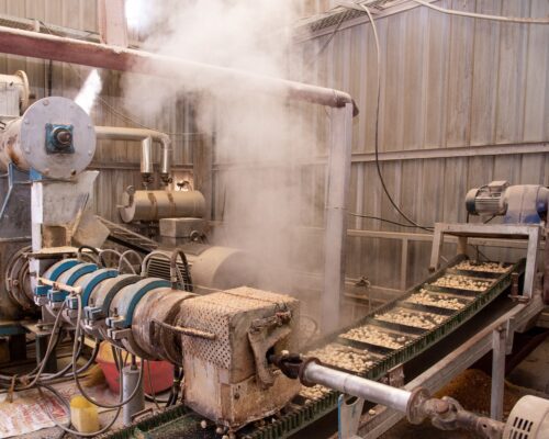 BD Edible Oils Factory Images (2)